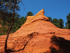开云官网在线-一日英超动态阿莫林自信发声转会话题升温，阿莫子林